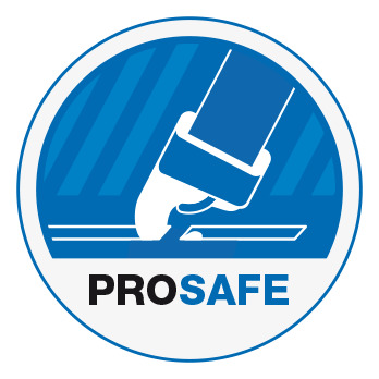 ProSafe Logo – System fuer professionelle Ladungssicherung